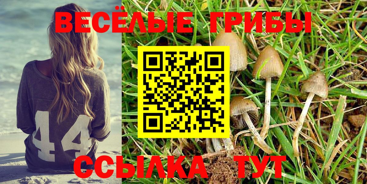 Солнечногорск  Галлюциногенные грибы Psilocybe  Псилоцибиновые грибы мицелий  Вход с VPN 