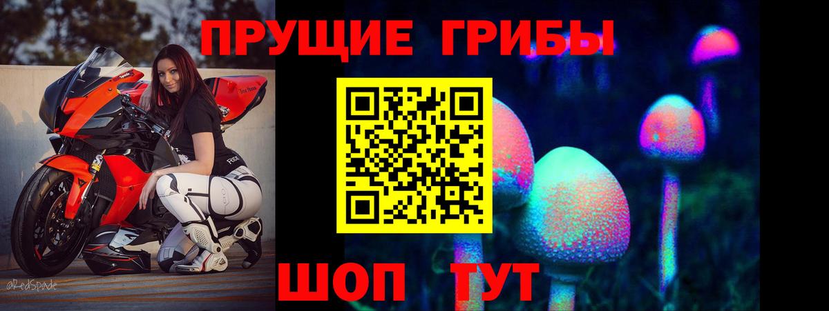 Псилоцибиновые грибы мицелий Солнечногорск